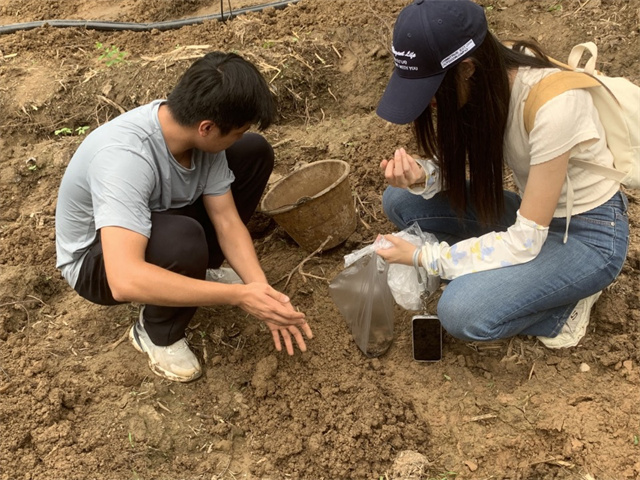 青年报：中医学子以一条蚯蚓串起乡村振兴新故事